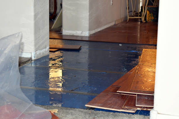 Professional Flood Cleanup technician working in Woody, CA